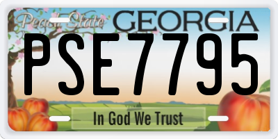 GA license plate PSE7795