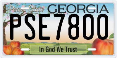 GA license plate PSE7800