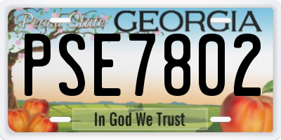 GA license plate PSE7802