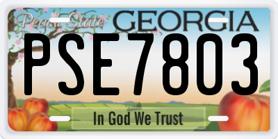 GA license plate PSE7803