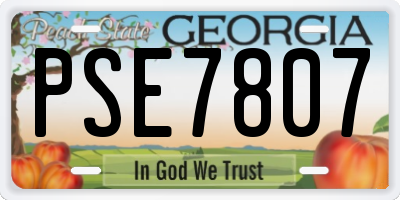 GA license plate PSE7807
