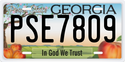 GA license plate PSE7809