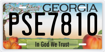 GA license plate PSE7810