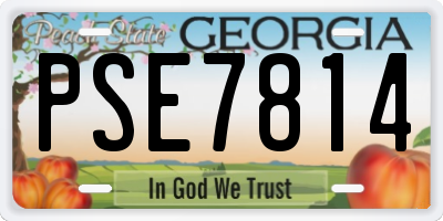 GA license plate PSE7814