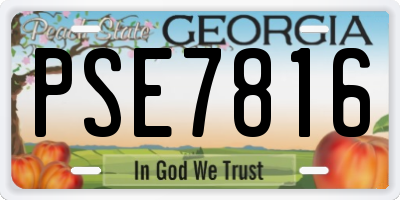 GA license plate PSE7816