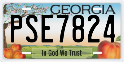 GA license plate PSE7824