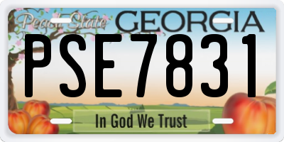 GA license plate PSE7831