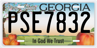GA license plate PSE7832