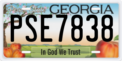 GA license plate PSE7838