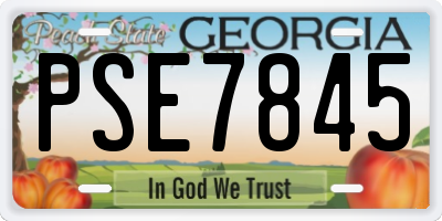 GA license plate PSE7845