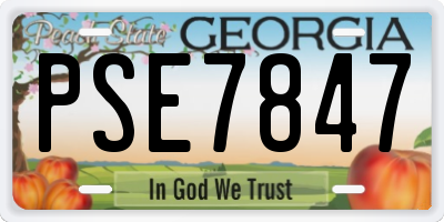 GA license plate PSE7847