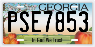 GA license plate PSE7853
