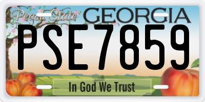 GA license plate PSE7859