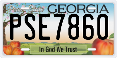 GA license plate PSE7860