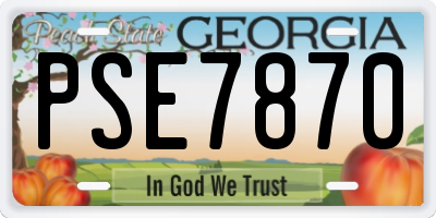 GA license plate PSE7870