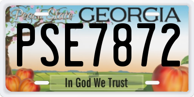 GA license plate PSE7872