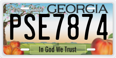 GA license plate PSE7874