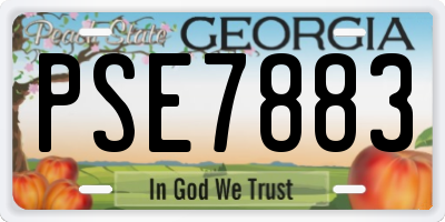 GA license plate PSE7883
