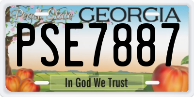 GA license plate PSE7887