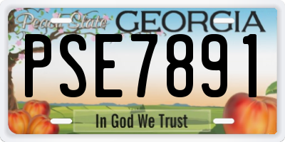 GA license plate PSE7891