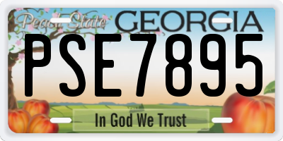 GA license plate PSE7895