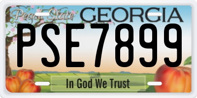 GA license plate PSE7899