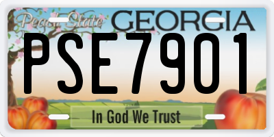 GA license plate PSE7901