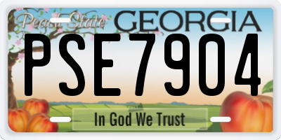 GA license plate PSE7904
