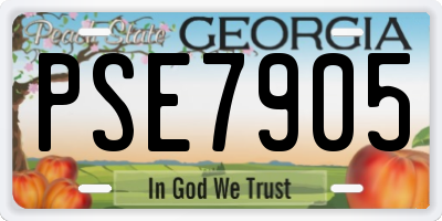 GA license plate PSE7905