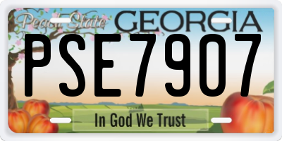 GA license plate PSE7907