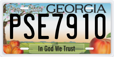 GA license plate PSE7910