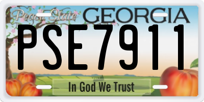 GA license plate PSE7911