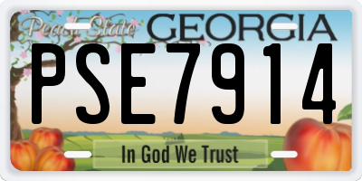 GA license plate PSE7914