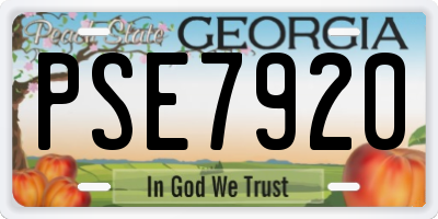 GA license plate PSE7920