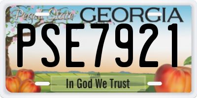 GA license plate PSE7921