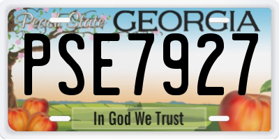 GA license plate PSE7927