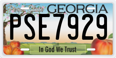 GA license plate PSE7929