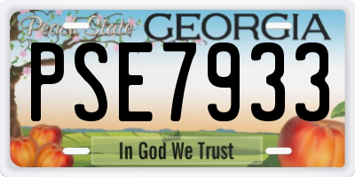 GA license plate PSE7933
