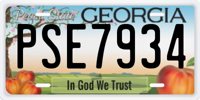 GA license plate PSE7934