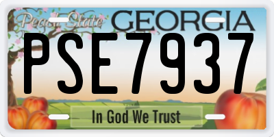 GA license plate PSE7937