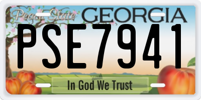 GA license plate PSE7941