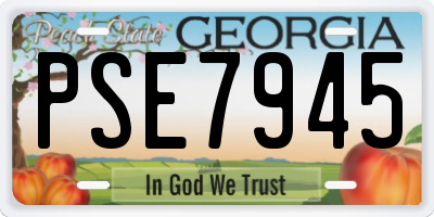 GA license plate PSE7945