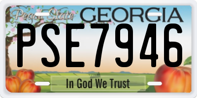 GA license plate PSE7946