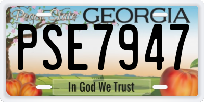 GA license plate PSE7947