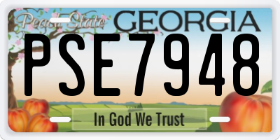 GA license plate PSE7948
