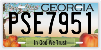 GA license plate PSE7951