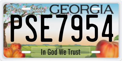 GA license plate PSE7954