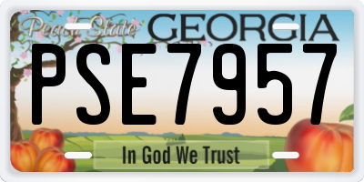 GA license plate PSE7957