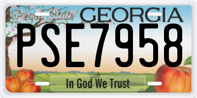 GA license plate PSE7958