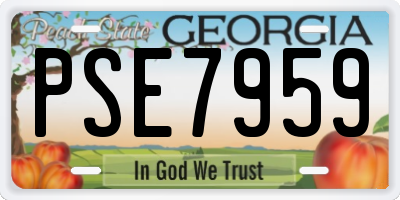 GA license plate PSE7959